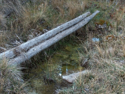 Fuente de la Risquilla de la Cañada del Mosquito - imagen 2