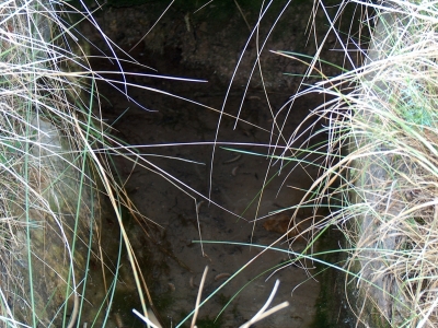 Fuente de la Risquilla de la Cañada del Mosquito - imagen 5