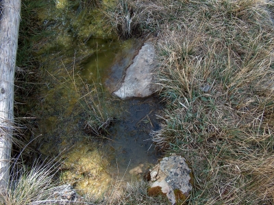 Fuente de la Risquilla de la Cañada del Mosquito - imagen 6
