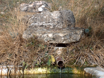 Fuente de la Risquilla de la Cañada del Mosquiqto - imagen 4