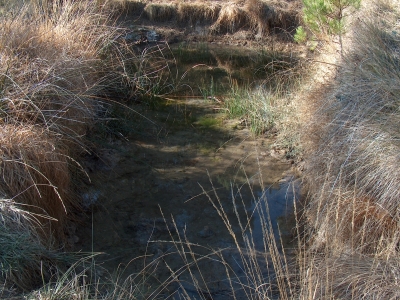 Fuente de la Risquilla de la Cañada del Mosquiqto - imagen 9
