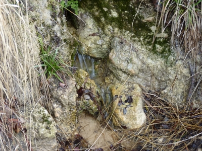 Fuente de los Señores II - imagen 1