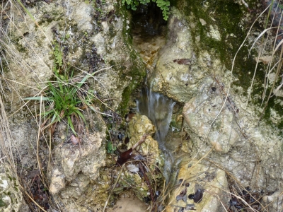 Fuente de los Señores II - imagen 4