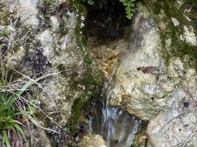Fuente de los Señores II - imagen 5