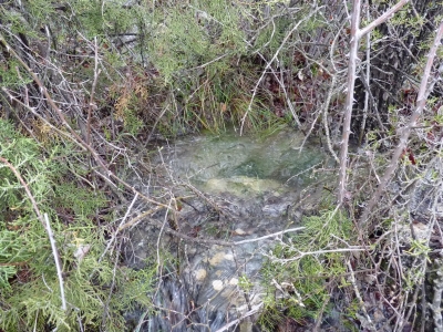 Fuente de los Señores III - imagen 3