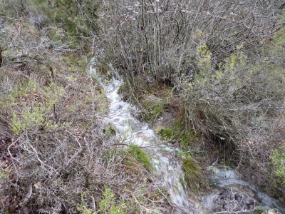 Fuente de los Señores III - imagen 4