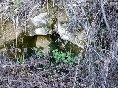 Fuente del Picón - imagen 1