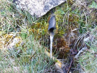 Fuente de la Chozuela - imagen 6