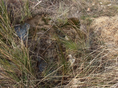 Fuente de la Solana de Cerro Nieto - imagen 2