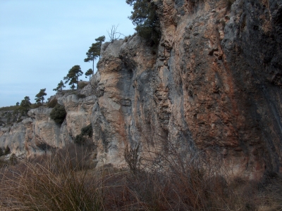 Fuente de la Solana de Cerro Nieto - imagen 5