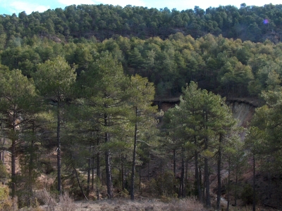 Fuente del Tormo Rodao I - imagen 7