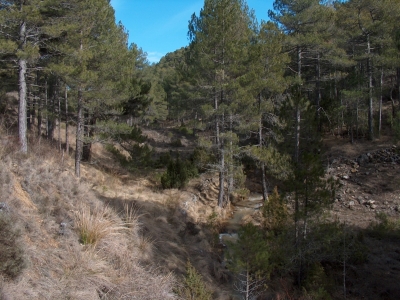 Fuente del Tormo Rodao II - imagen 5