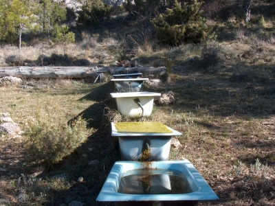 Fuente de Valdemorillo - imagen 2