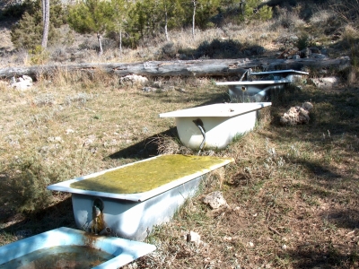Fuente de Valdemorillo - imagen 3