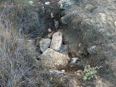Fuente del Vasillo - imagen 1