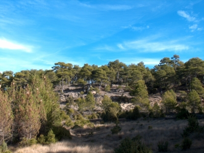 Fuente del Vasillo - imagen 9