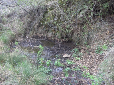 Fuente del Robledal - imagen 1