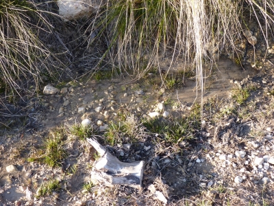 Fuente de la Sarga - imagen 5