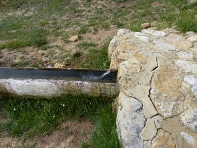 Fuente de las Arenillas - imagen 2