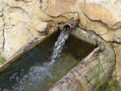Fuente de las Arenillas - imagen 4