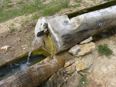 Fuente de las Arenillas - imagen 5