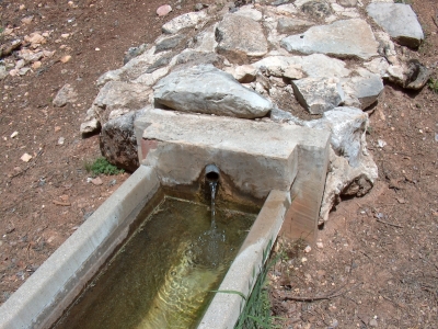 Fuente de la Acebeda de Abajo - imagen 4