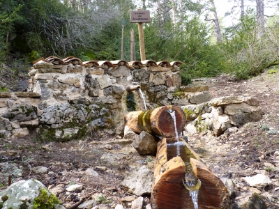 Fuente del Avellano - imagen 1