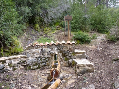 Fuente del Avellano - imagen 2