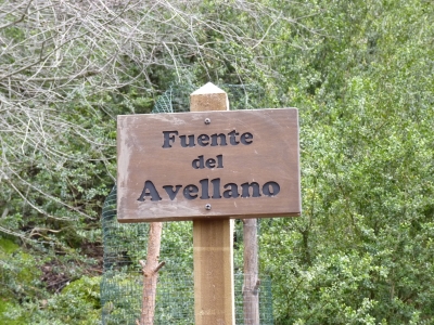 Fuente del Avellano - imagen 3