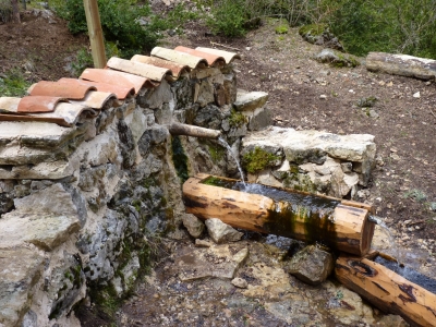 Fuente del Avellano - imagen 4