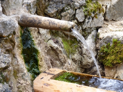 Fuente del Avellano - imagen 5