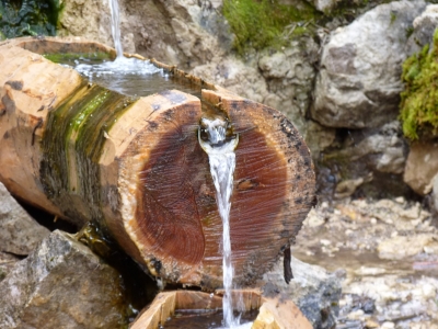 Fuente del Avellano - imagen 6