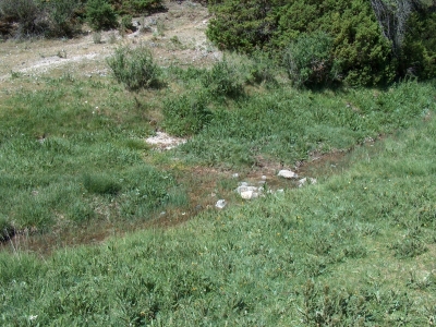 La Canal - imagen 1
