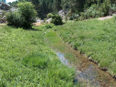 La Canal - imagen 2