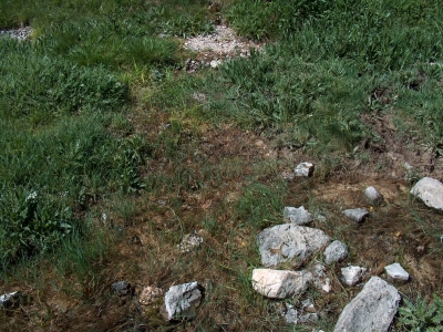 La Canal - imagen 3