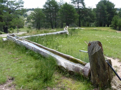 Fuente de la Canaleja - imagen 2
