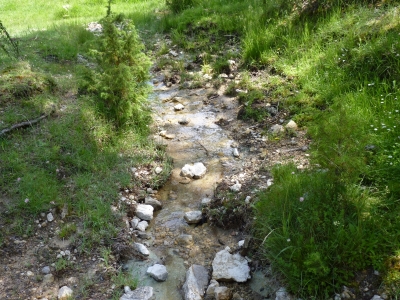 Fuente de la Colmenilla - imagen 2