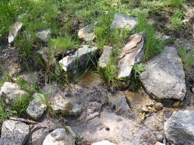Fuente de la Colmenilla - imagen 3