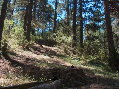 Fuente del Colmeno de los Zacarías - imagen 5