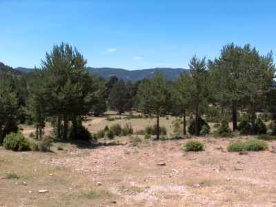 Fuente del Cubillo - imagen 5