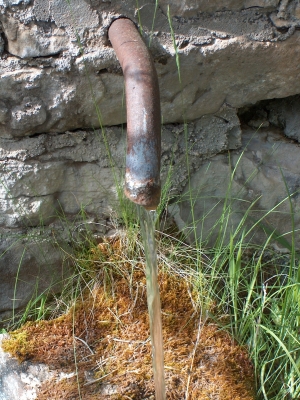 Fuente de la Culebra - imagen 4