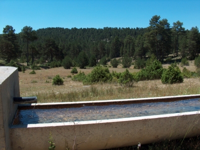 Fuente de la Hoya de los Cecilios - imagen 1
