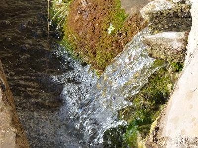 Fuente Isabeleto - imagen 4