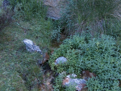 Fuente de la Isilla - imagen 3