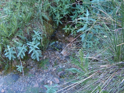 Fuente de la Isilla - imagen 4