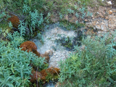 Fuente de la Isilla - imagen 6