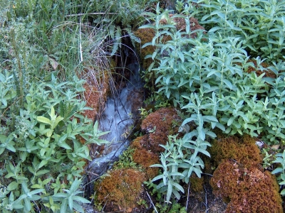 Fuente de la Isilla - imagen 7