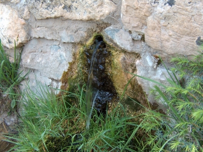 Fuente del Tío Jesús - imagen 3