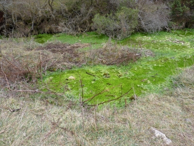 Manantiales del Estrecho de San Blas - imagen 4