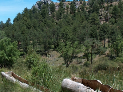 Fuente del Masegosillo - imagen 6
